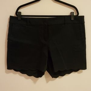 LOFT Plus Sz 16 Black Velveteen Scallop Hem Shorts